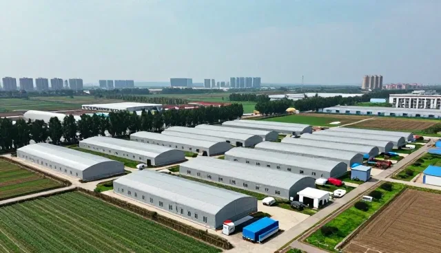 技术驱动下行业定制化服务的演进路径